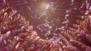 Scientists believe that the origin of the most common childhood allergies is in the intestine - Instant Vista