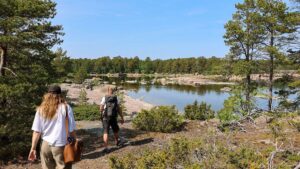 A Zone Free of Phones: The Finnish Island Promoting Digital Detachment - Instant Vista