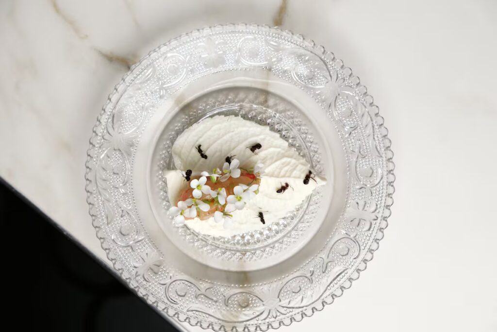 Crickets and Grubs: Is America Ready to Embrace Insect Cuisine?