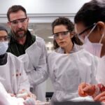 Exploring Competency Porn: The New Trend in Skill Watching