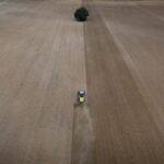 Eco-Friendly Diet Could Prevent 15 Million Premature Deaths Annually