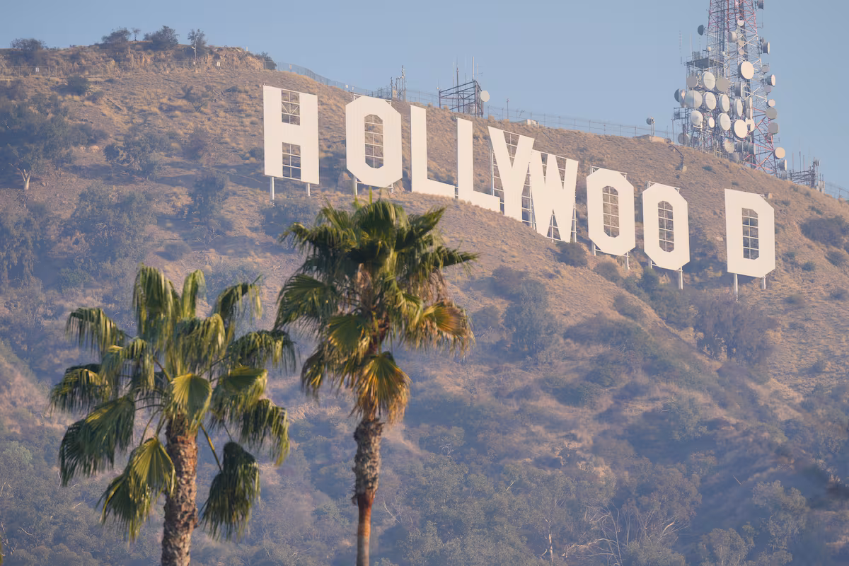 Los Angeles Ditches Palm Trees: Economic and Climate Debate Ignites