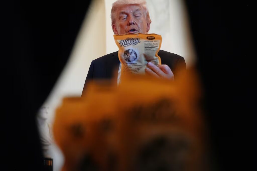 How TikTok Boosted Trump's 2024 Campaign Despite US Challenges