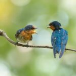 AI Unlocks Animal Communication: Insights into Inter-species Language