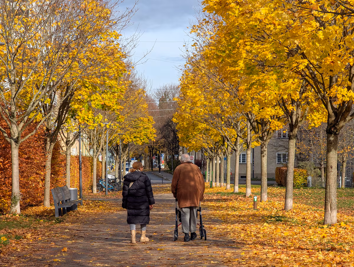 Is Caring for Parents a Moral Duty Beyond Feelings?