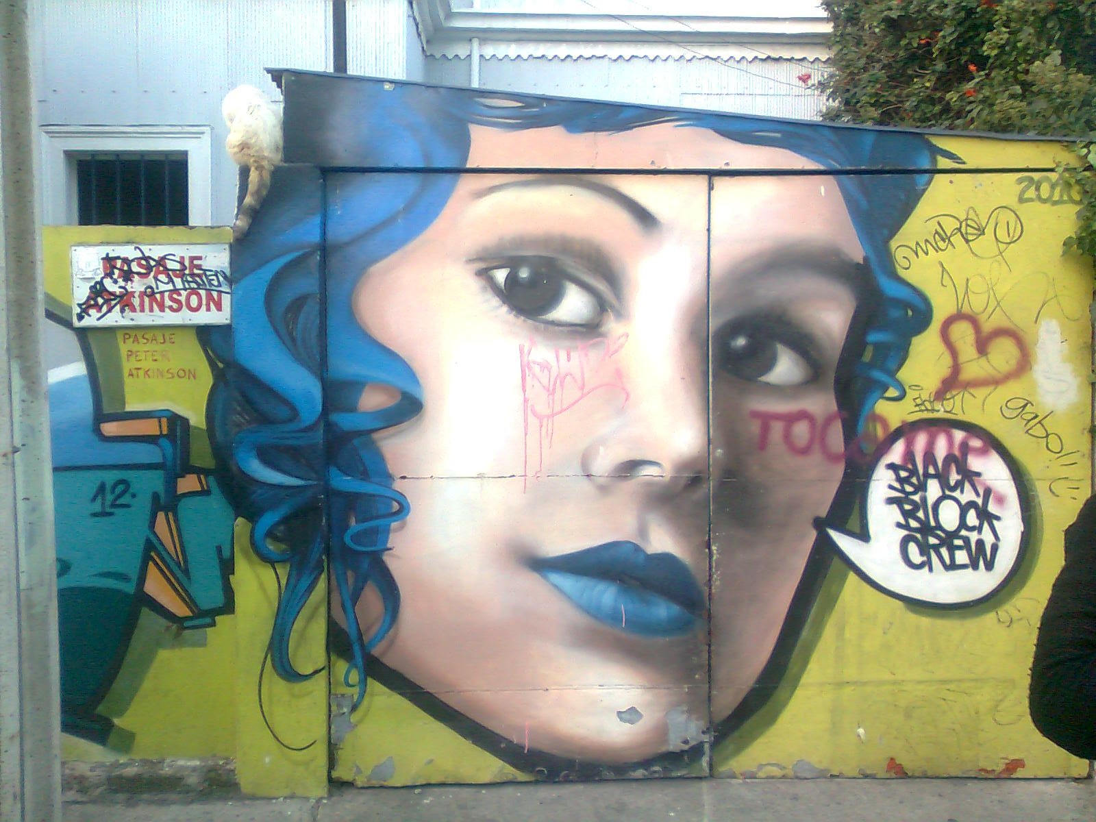 Large street-art mural of a woman’s face with blue hair on a wall in Pasaje Beethoven, Cerro Concepción, Valparaíso